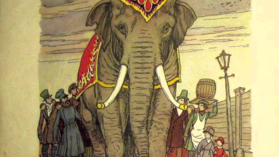 Юбилей цирка и слоны на улице